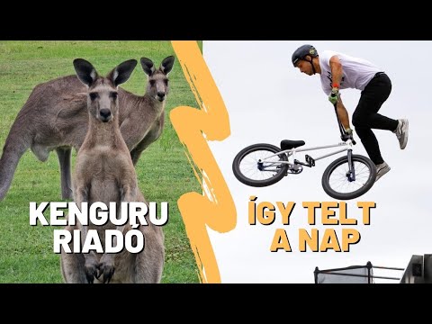 Ausztrál napunk - Kenguruk & versenyzés