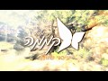 עיסוי שוודי קממה