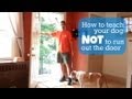 Teach Your Dog Not to Run Out the Door 