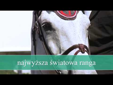 LOTTO CSIO5* Sopot 2019