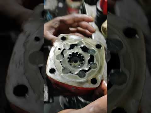 Hydraulic Motor
