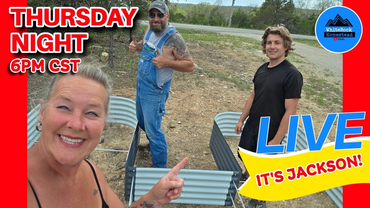 THURSDAY NIGHT LIVE! LOOK WHO'S HOME!