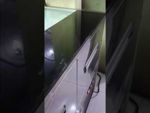 Cake Showcase Starcool