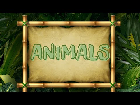 BUGS TEAM 3 - Unit 1 - ANIMALS -vocabulary and exercises