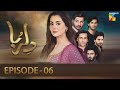 Dil Ruba - Episode 06 - [HD] - Hania Amir - Syed Jibran - HUM TV Drama