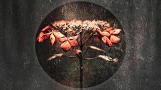 Ambient/Neoclassical Mix (Therapist - The Theory of Incompleteness)