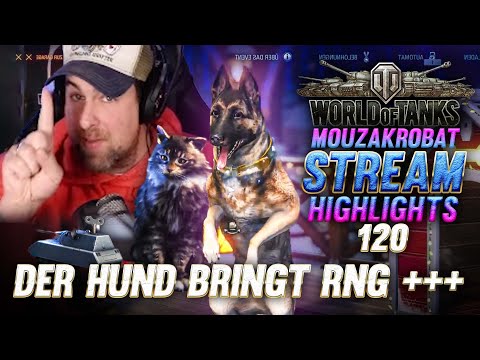 The dog brings RNG +++ - Mouzakrobat HIGHLIGHTS - Highlight Part 120 BEST OF