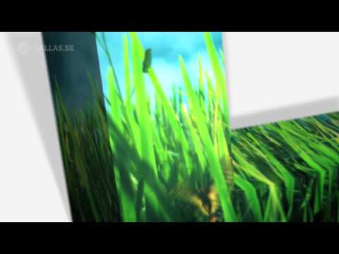 SVT Kunskapskanalen Channel ID "Grass" - Dallas Sthlm