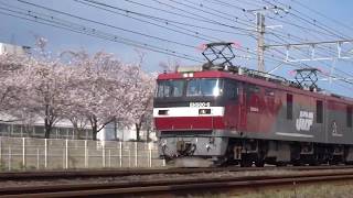 【#サビだけ鉄道PV】さかさまカモツレッシャ(森羅万象:さかさまレジスタンス × JR貨物)