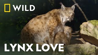 One Country, Six National Parks | Austria's Wild Heritage | National Geographic Wild