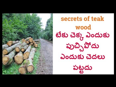 Rectangular teak wood