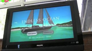 Nintendo Wii Pickup Cleanup / Restore