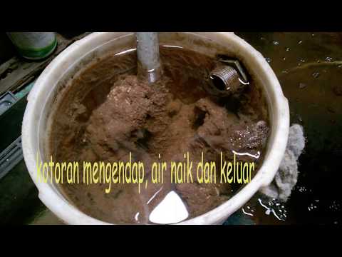 Menjernihkan Air Kolam Ikan Dengan Mudah Kaskus Menjernihkan Air Kolam Ikan Dengan Mudah Kaskus