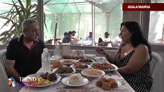 DAYININ YERİ - TREND SEKTÖR