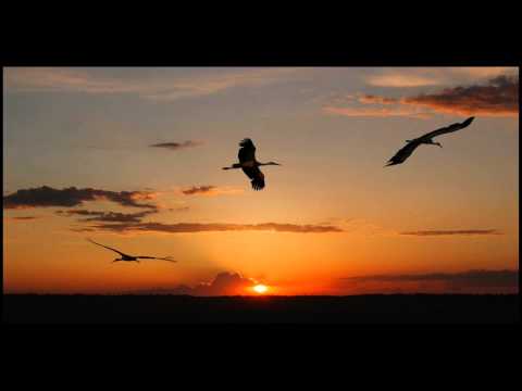 Interior Wrath - Belarus