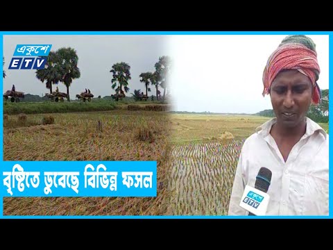 শ্রমিক সংকটে ফসল ঘরে তুলতে পারছেন না কৃষক
