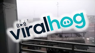 faze tari vant puternic