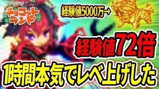 チョコットランド タカチホに初挑戦 アマツミヤ攻略日記 تحميل اغاني مجانا