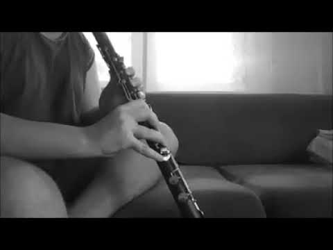 Berke Altıparmak - Ferahnak Klarnet Taksimi