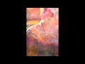 Glass Animals - Cocoa Hooves [Fear Club Remix ...