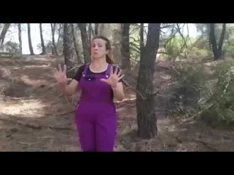 MARIA ANGELES AGRICULTORA DE ASAJA CUENCA EXPLICA MOTIVOS DE INCENDIO