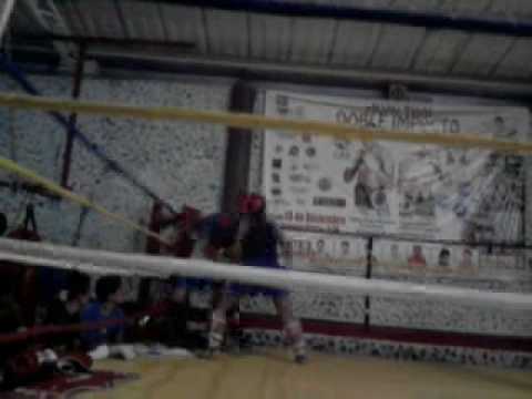 quick boxing padilla vs javi