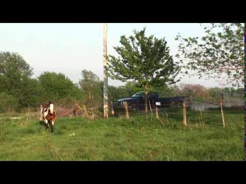 2012 05 05 - IMAGES PROJECTED ON SEMINOLE FROM PICKUP