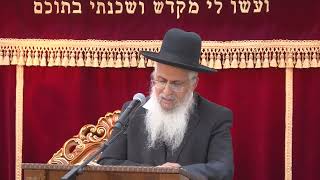 010מצוות ומדות-שמות י''ט-כ (הרב יורם סרי) - התמונה מוצגת ישירות מתוך אתר האינטרנט יוטיוב. זכויות היוצרים בתמונה שייכות ליוצרה. קישור קרדיט למקור התוכן נמצא בתוך דף הסרטון