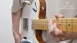  - Nobody knows how to use a Telecaster Thinline properly.