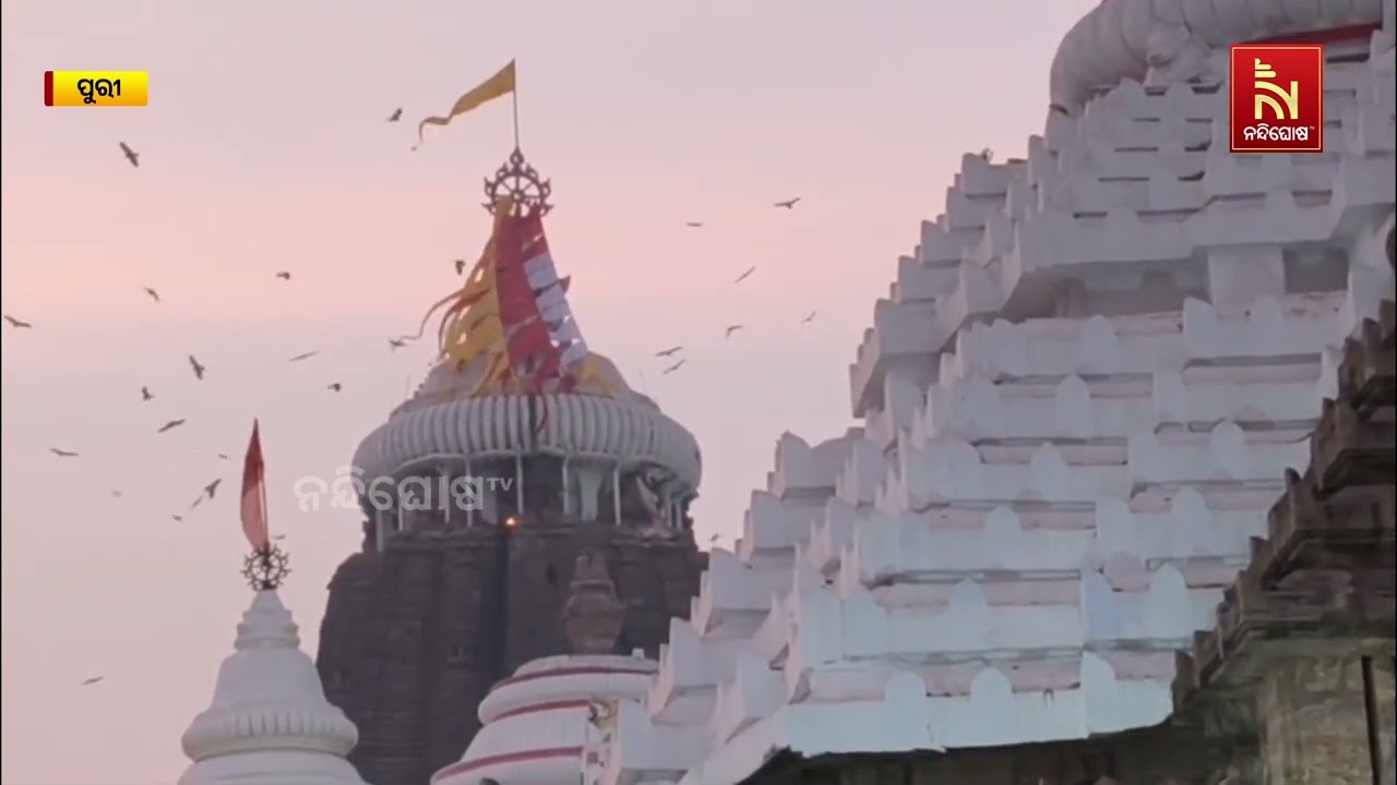 ଶ୍ରୀମନ୍ଦିର ଉପରେ ଉଡ଼ିଲେ ଚିଲ, ସଂନ୍ଧ୍ୟା ସମୟରେ...