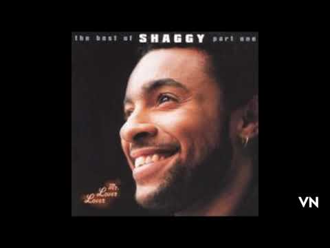 Shaggy - Luv Me Luv Me.