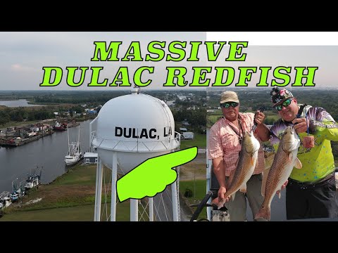 Fishing in the Dulac Marsh with Captain Mark of Hunting Red Charter Fishing