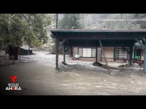 Las noticias de la mañana, jueves 25 de diciembre de 2025 | Noticias Telemundo