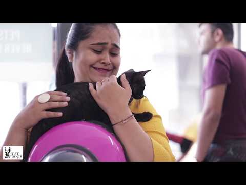 Customer Testimonial - Mia and Mehzabin