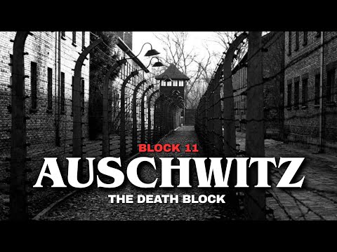 Fall Asleep To ENTIRE History of AUSCHWITZ - BLOCK 11 | The Death Block | WW2 Holocaust Documentary 