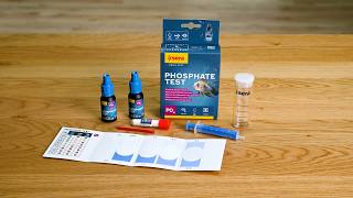 Sera Phosphate Test