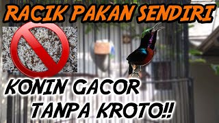 Download lagu CHAMPION NINJA HUMMINGBRI FEED MIX WITHOUT KROTO mp3