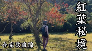 大嶼山秘境紅葉🍁 輕鬆易行沿海路線 | 世外桃源無人沙灘🏝 | Lantau Island 🏝️ Shap Long