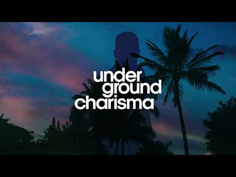 Sndwvs - Just Won't Do