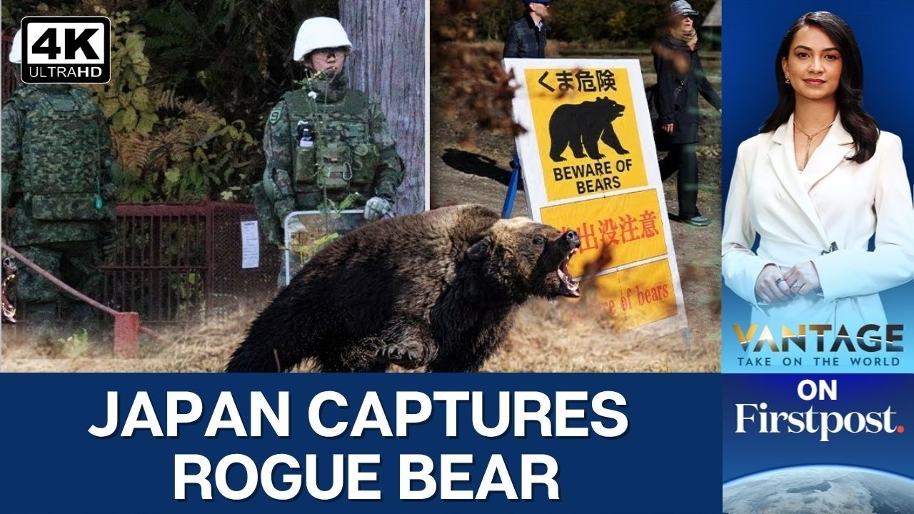Four Days, 94 Schools Closed, One Bear: Japan's Unusual Manhunt | Vantage on Firstpost | 4K