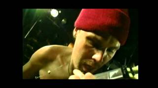 Vandals   Wanna Be Manor Live