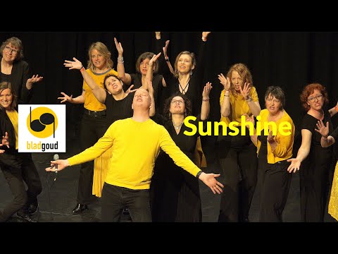 Sunshine (OneRepublik cover)  - Bladgoud (4K)