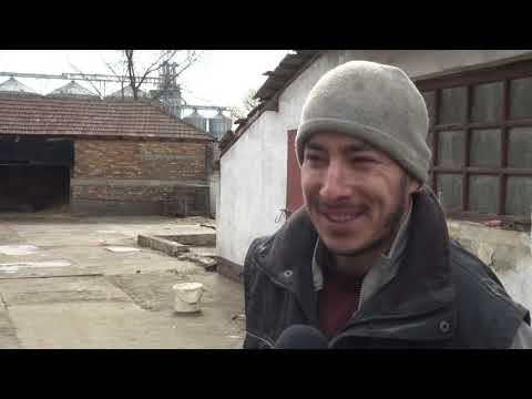 Povećani troškovi uzgoja svinja