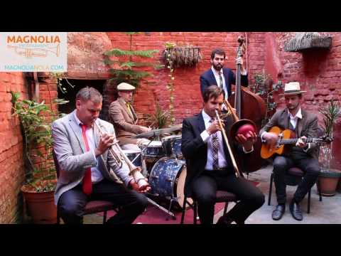 The Jumbo Shrimp Jazz Band - Wabash Blues