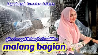 Download lagu gitar tunggal MALANG BAGIAN lagu daerah Sumatera Selatan Batanghari 9 mp3