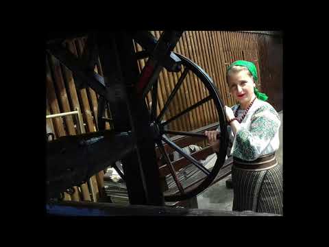 Lenuța Rusu - Dac-ar ști mămuca me