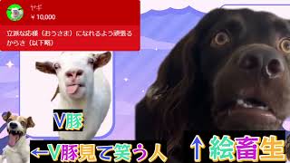 VTuberあるある #猫ミーム #ホロライブ #にじさんじ #個人vtuber