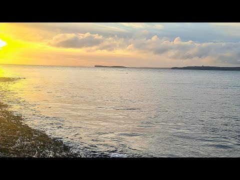 Lure Fishing For Big Cod And Pollock + More Orca Sightings. Orkney. 
