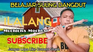 Download lagu ILALANG - MUCHICAH MUCHTAR // BELAJAR SULING DANGDUT / @SamSuling mp3 Download lagu ILALANG - MUCHICAH MUCHTAR // BELAJAR SULING DANGDUT / @SamSuling mp3