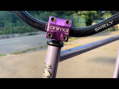 FIXED GEAR BMX BIKE?!? | Will's Surly Steamroller Review